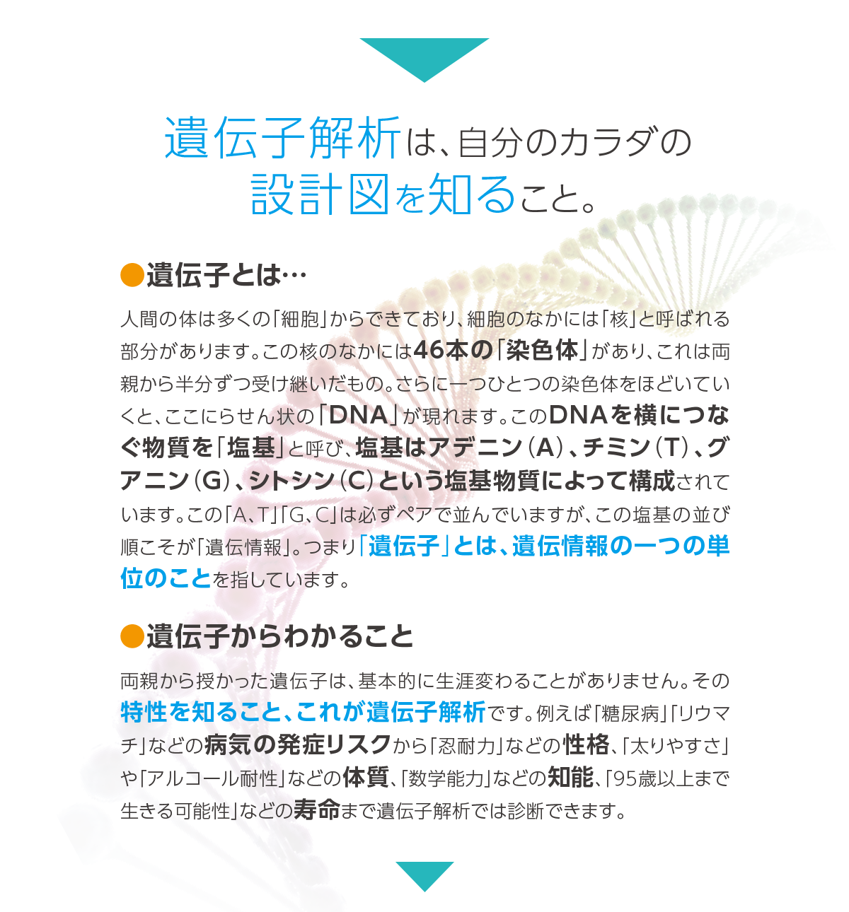 遺伝子解析は、自分のカラダの設計図を知ること。