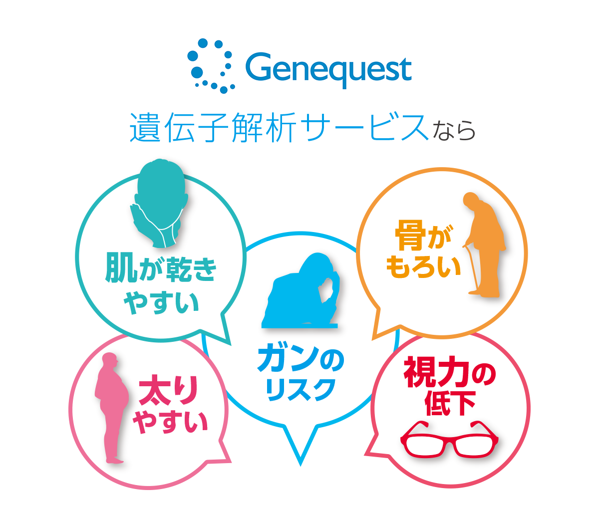 ジーンクエスト ALL　遺伝子解析サービスなら